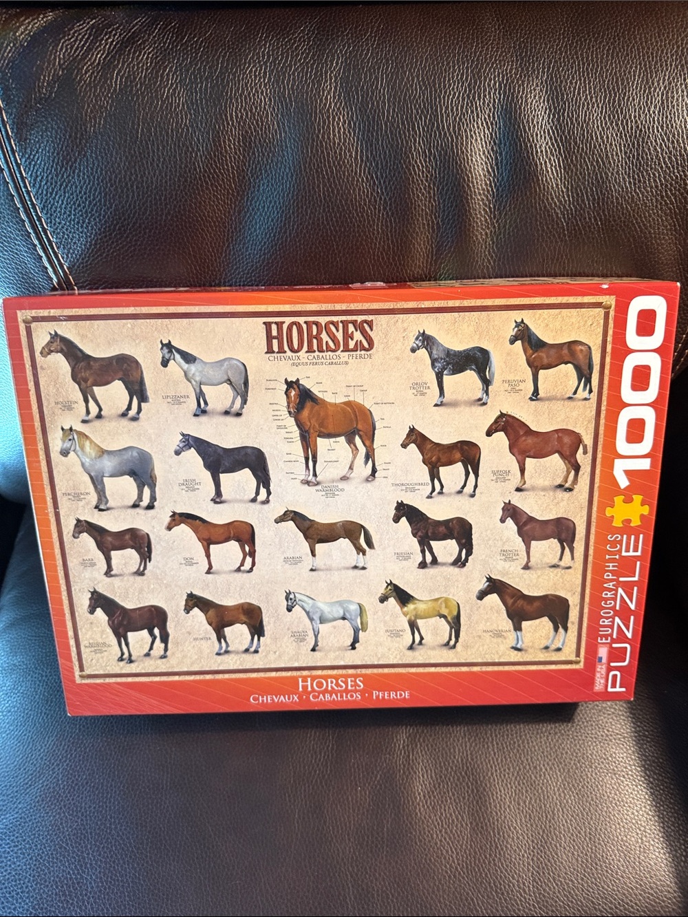 Eurographics Horses 1000-Piece Jigsaw Puzzle.